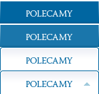 Polecamy